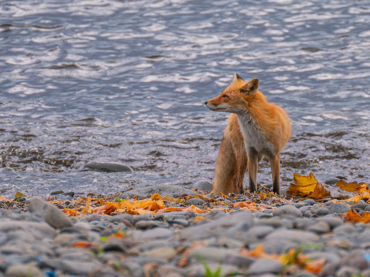 고전 동화를 재해석한 영화 말레피센트
