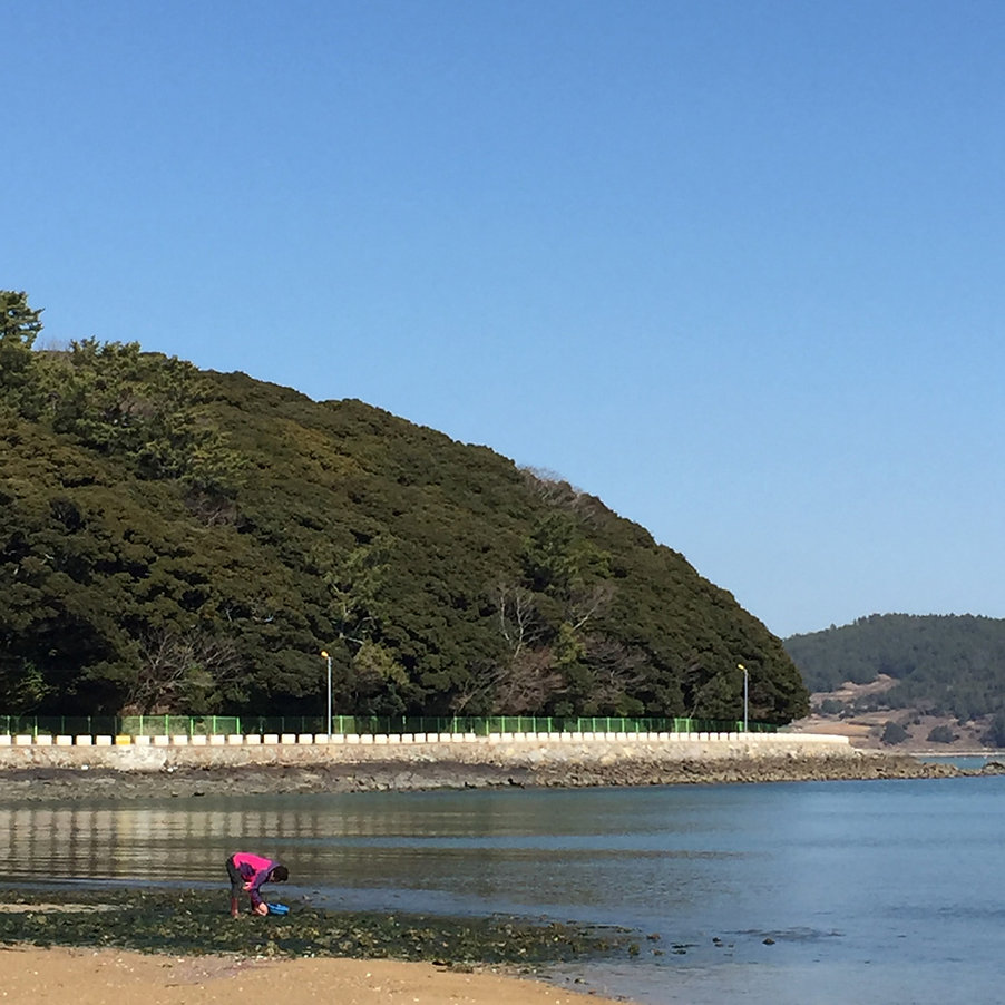 고흥 가볼만한곳