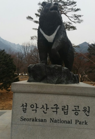 2024년 단풍절정시기