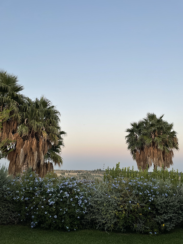 MBTI별 향기블렌딩 루틴