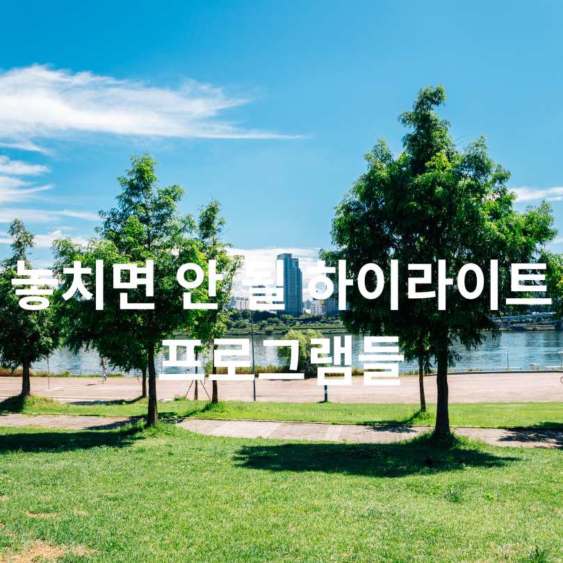 2025 한강 무릉도원 축제 완벽 가이드