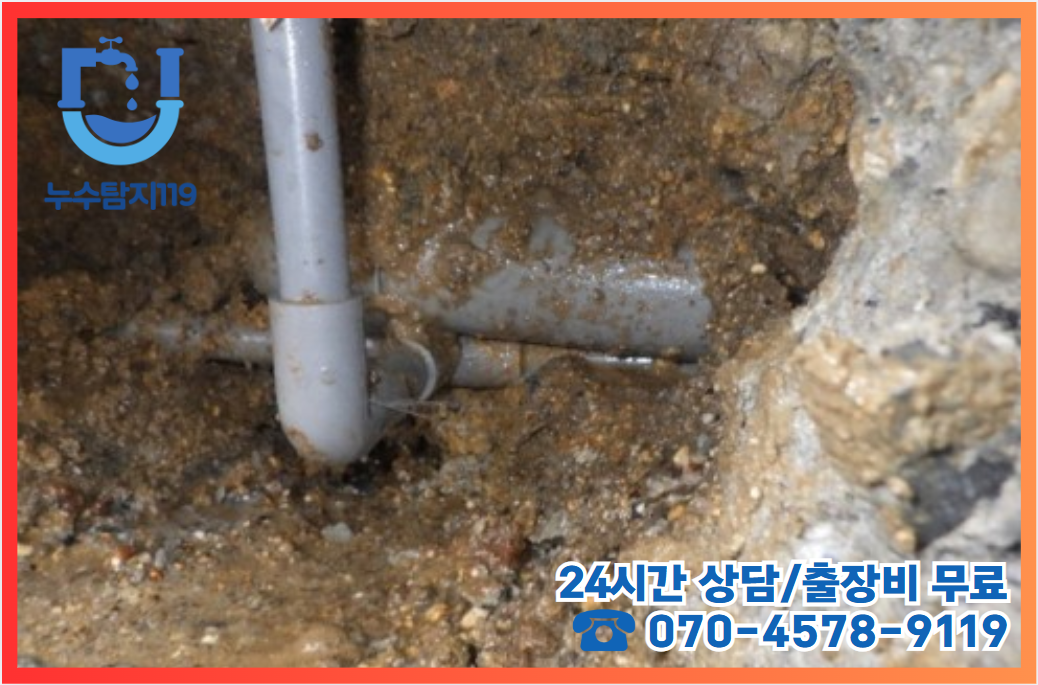 신안동 상가3