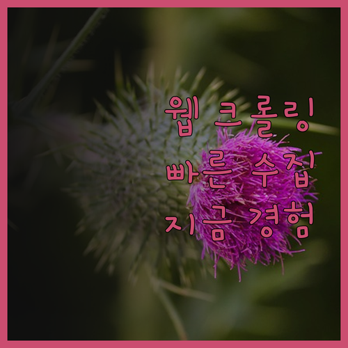 웹 크롤링 전문가의 신속한 데이터 수