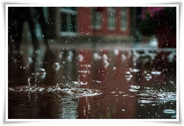 웰빙 &quot;2025년 장마&quot; 폭염과 폭우? 기상청 전망부터 대비까지 총 정리!