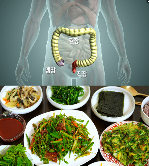 생로병사 식이섬유와 대장암의 예방의 비밀