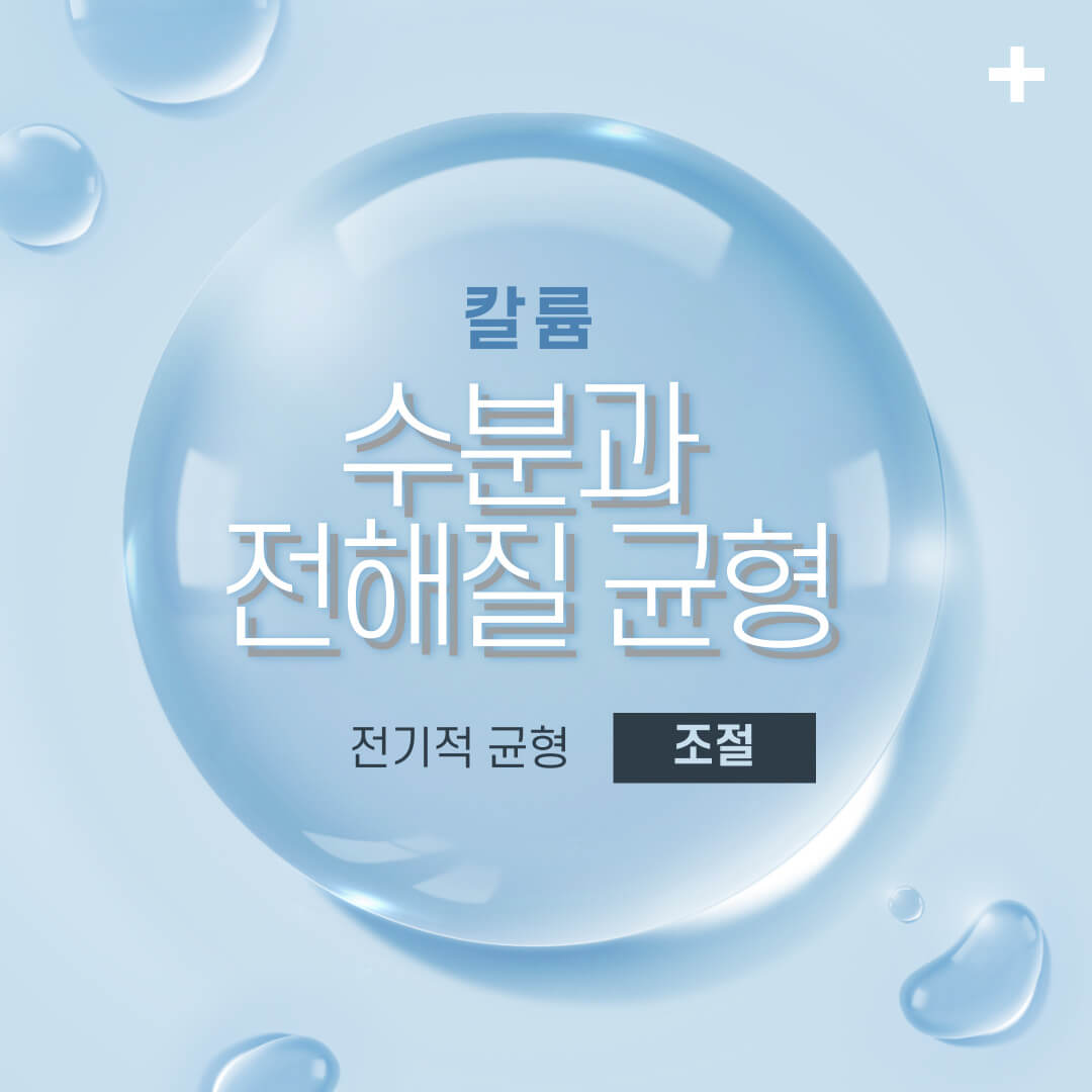 칼륨 수분과 전해질 균형