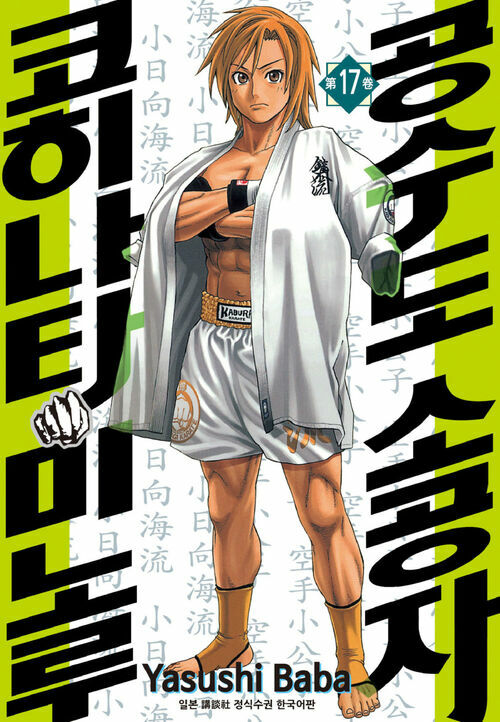 공수도 소공자 코히나타 미노루 만화책 17권의 표지