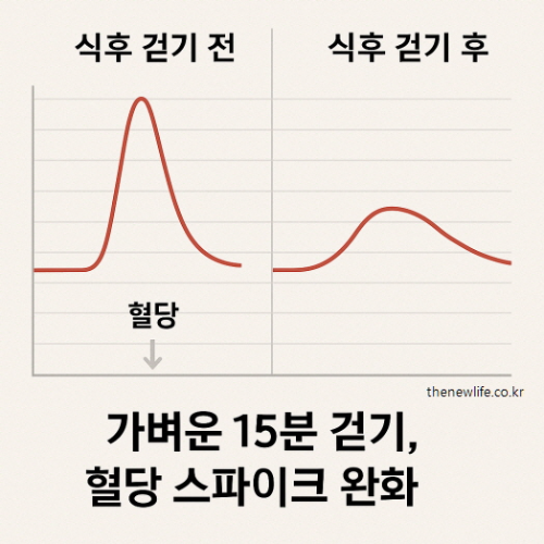 식후 15분 걷기 전후 혈당 변화 비교 그래프 – 걷기 후 혈당 스파이크 완화