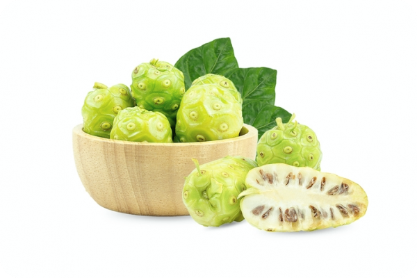 노니 -효능-부작용