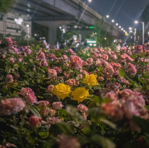 서울 5월 축제 일정