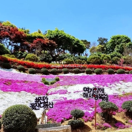 진안 가볼만한곳 베스트10