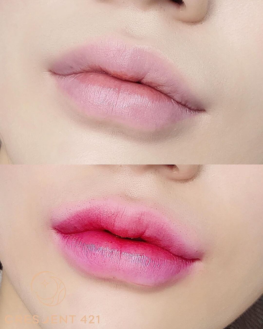 얼굴톤에 따른 립틴트 컬러 선택 가이드 이미지로 웜톤 쿨톤별 어울리는 립 컬러 비교를 담은 뷰티 정보 그래픽