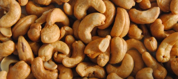 견과류 하루 섭취량 - 캐슈넛 하루 섭취량 / 칼로리