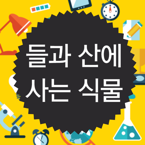 들과 산에 사는 식물