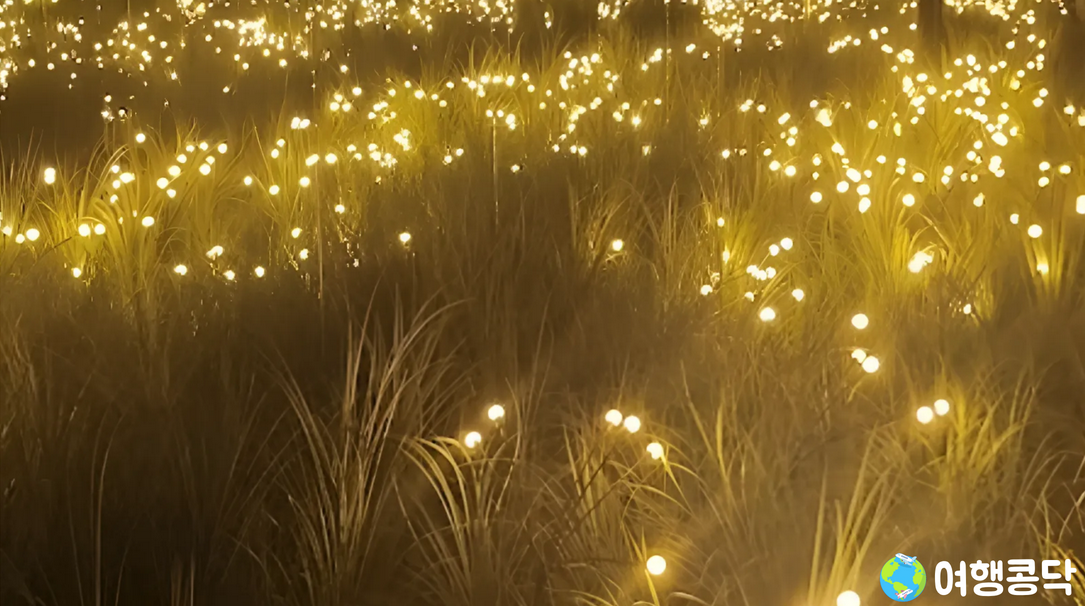 9️⃣ 제주홀릭뮤지엄 &ndash; 감각적인 미디어 아트 체험 공간