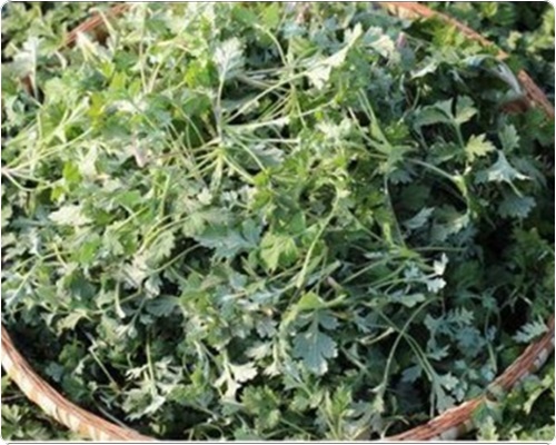 쑥국 맛있게 끓이는 법