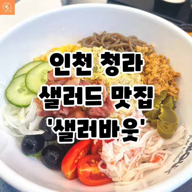 &#39;샐러바웃&#39;-포스팅-대표-사진