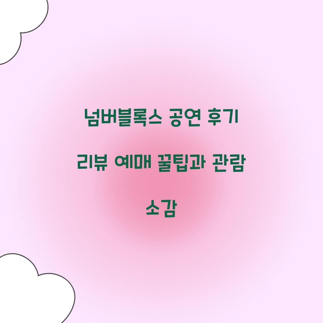 넘버블록스 공연 후기 리뷰