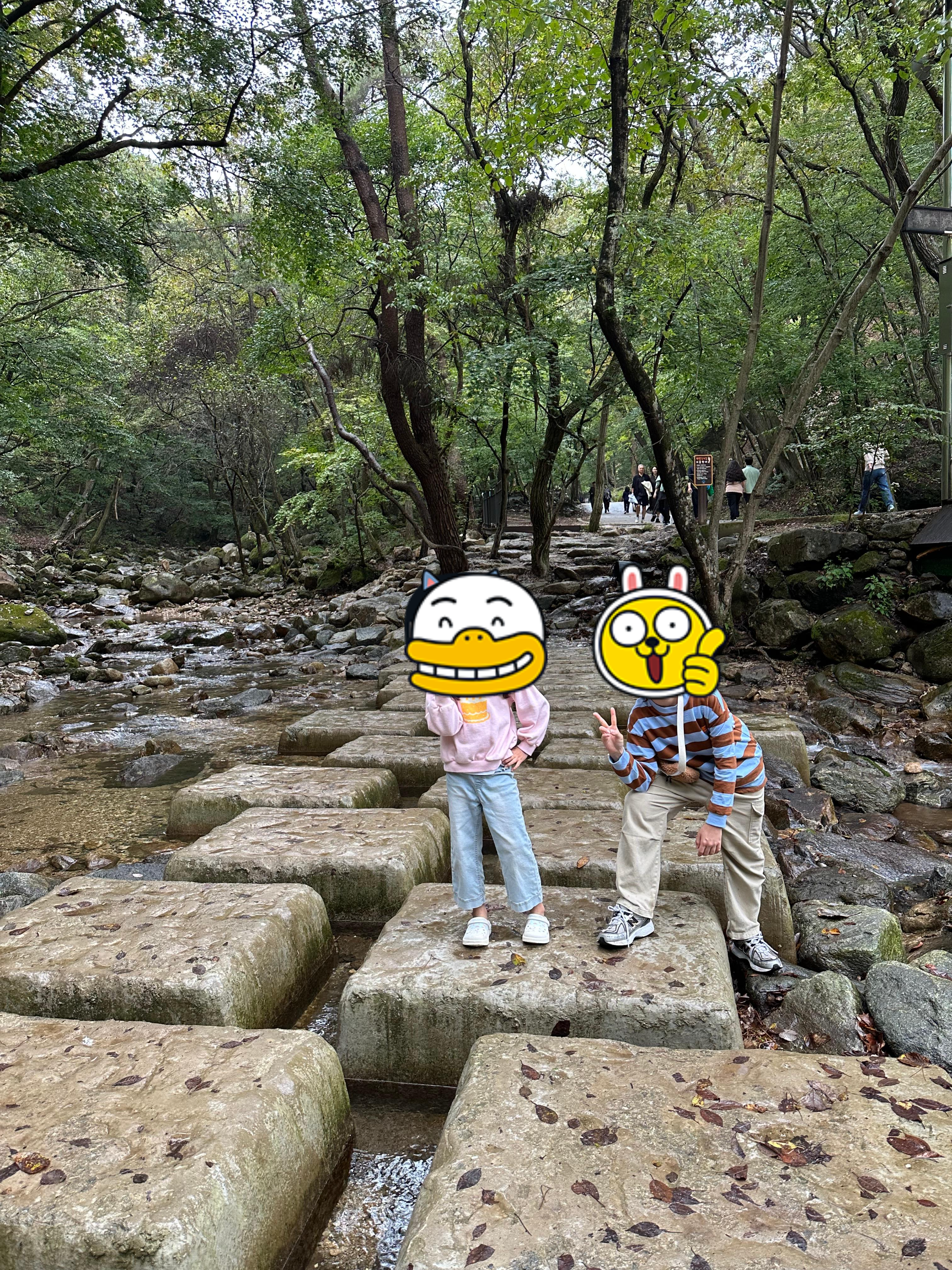 천년 은행나무 아래서 즐긴 가족의 단풍 힐링
