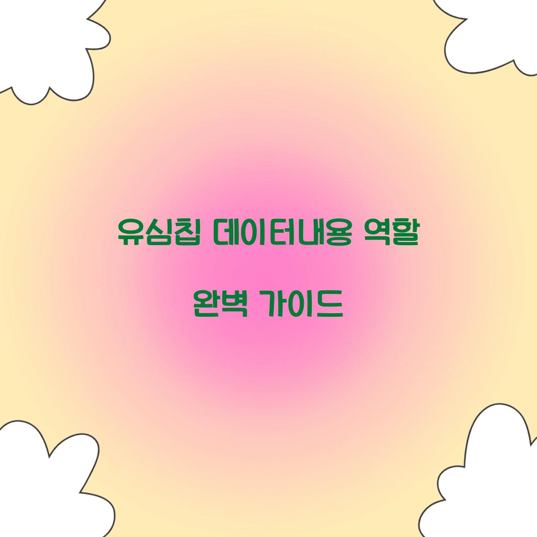 유심칩 데이터내용 역할