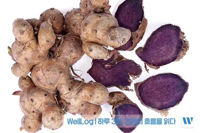 파비플로라 효능