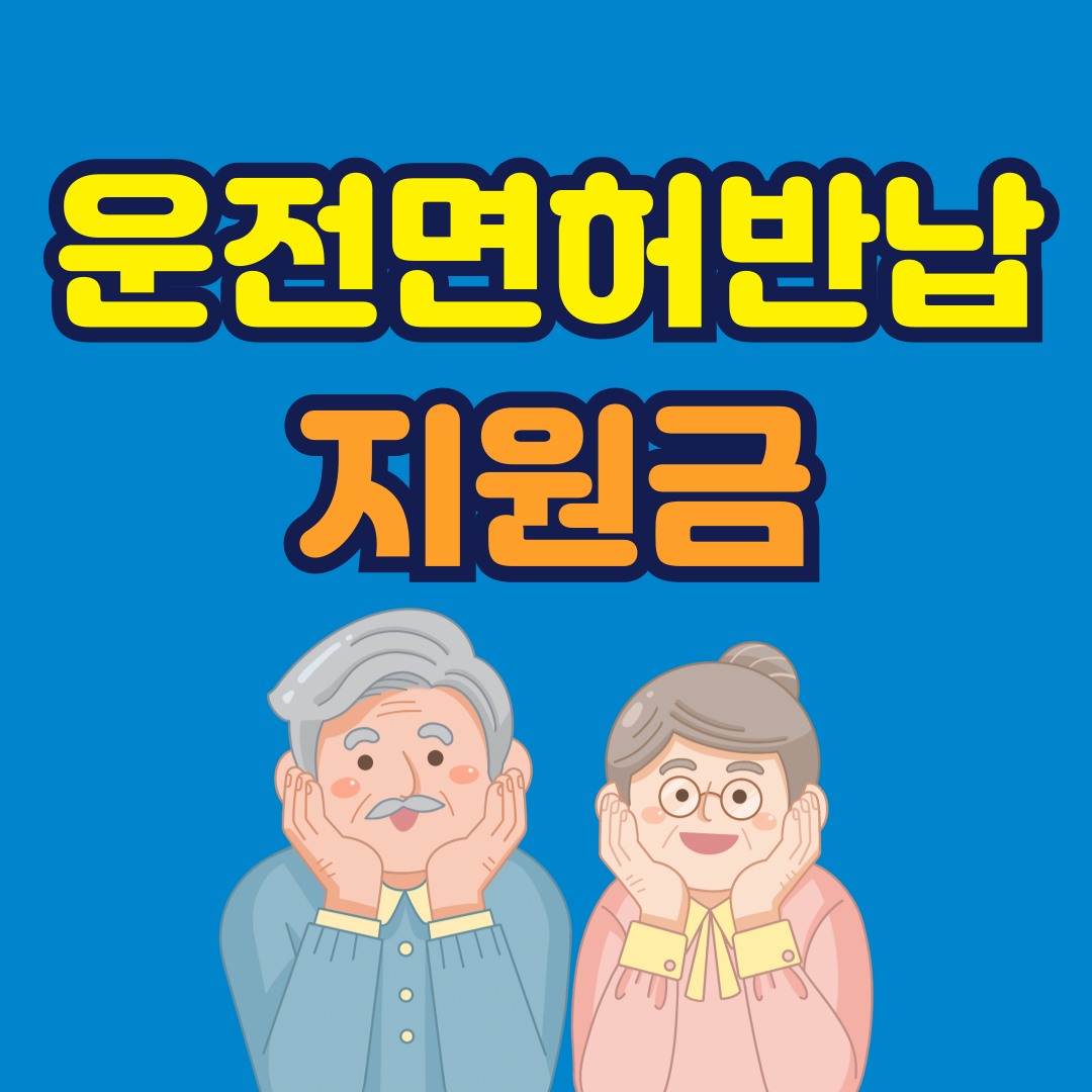 운전면허 반납 지원금