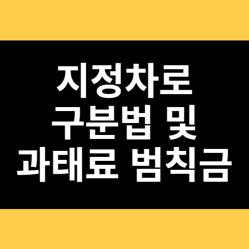지정차로 구분법 및 과태료 범칙금 썸네일
