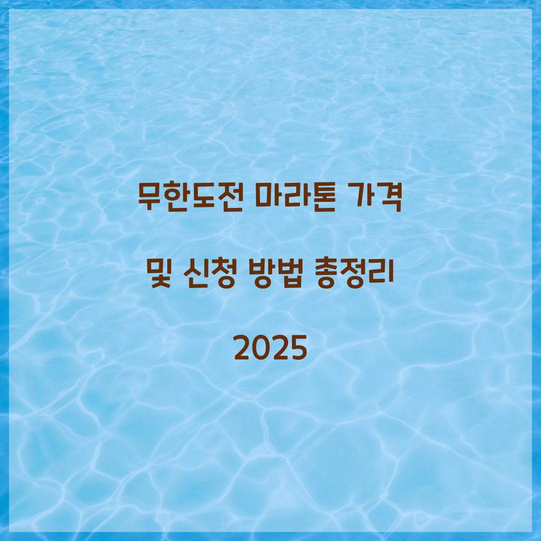무한도전 마라톤 가격