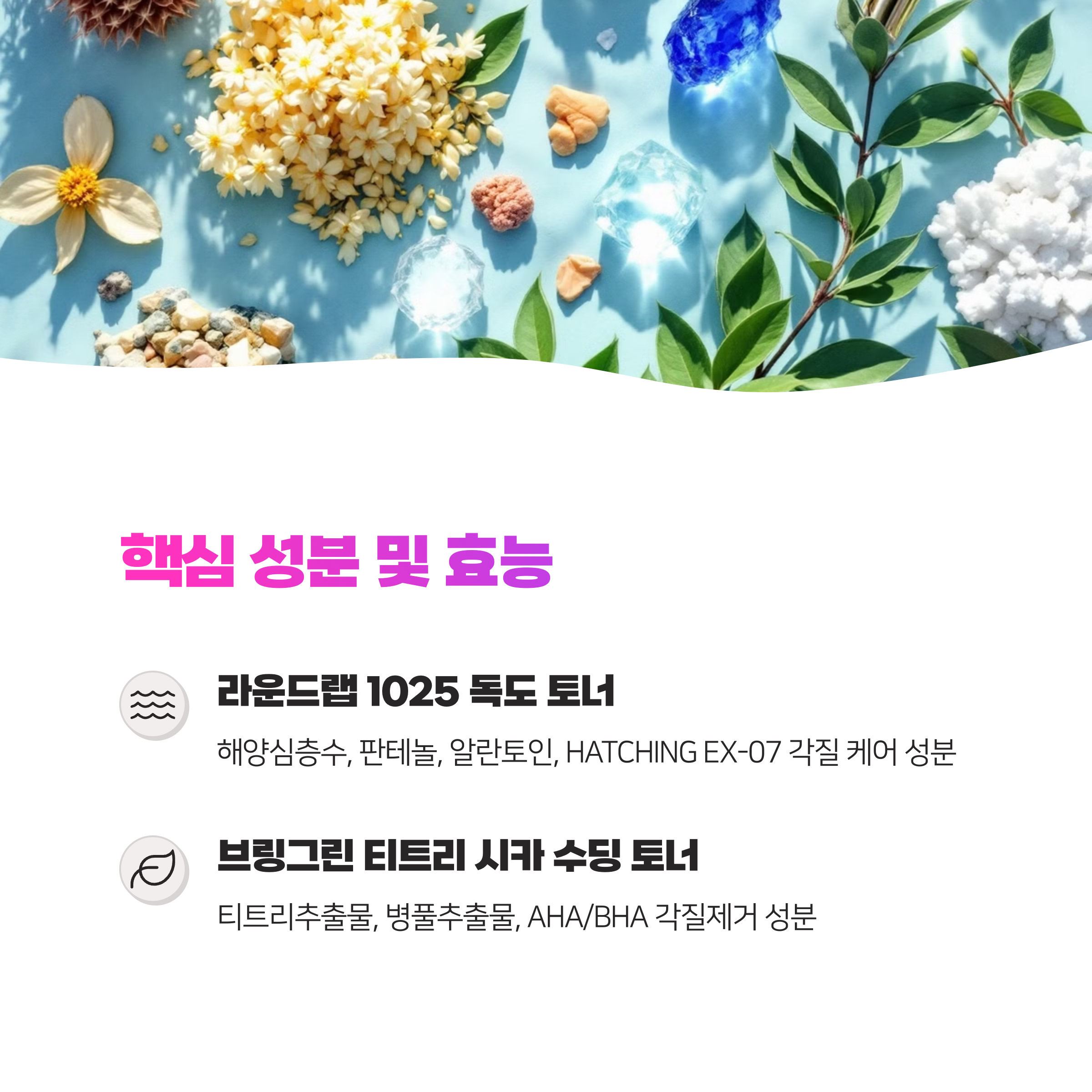 라운드랩 1025 독도 토너 vs 브링그린 티트리시카수딩토너 나한테 찰떡 토너는