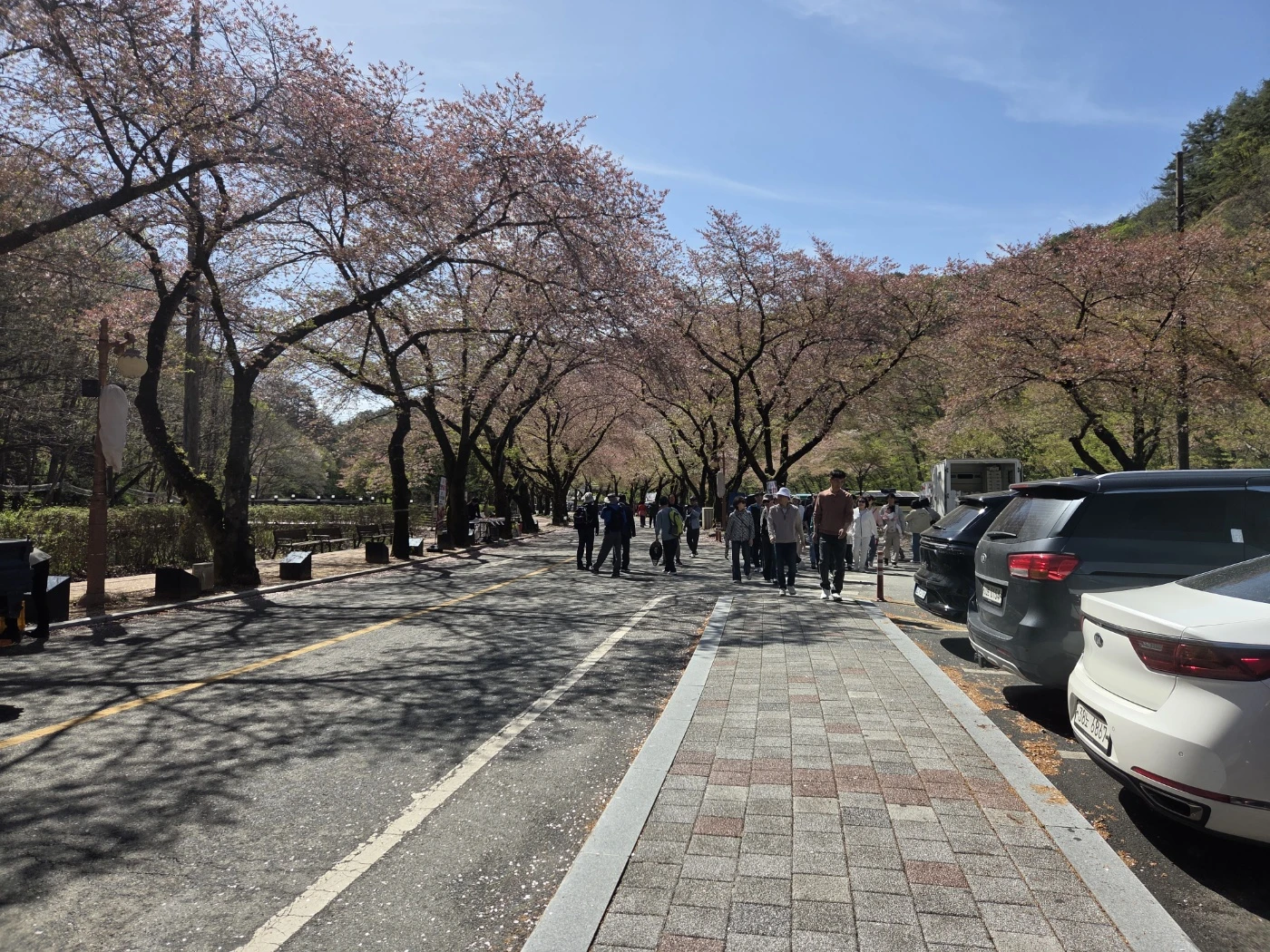 마이산 산행길19