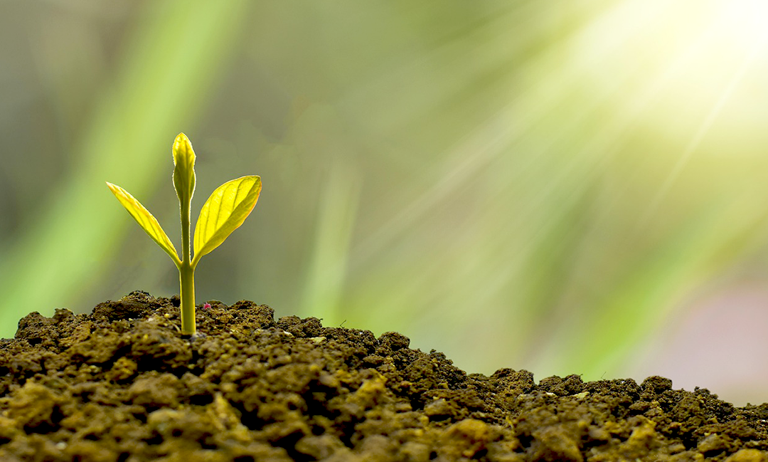 RE100 산업단지 특별법 총정리: 정부 지원금부터 세제 혜택까지