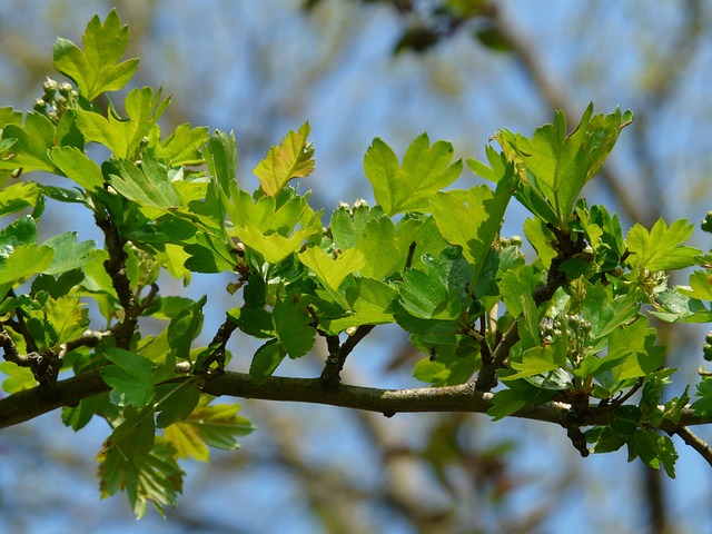 김수미 나이 프로필 정리 ✅