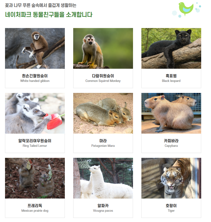 네이처파크 플라워페스티벌 주차 맛집 꿀팁 총정리