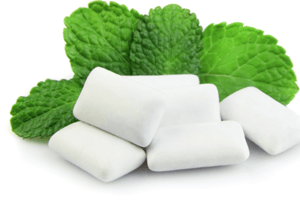 자일리톨효능19