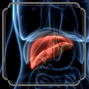 당화혈색소 수치