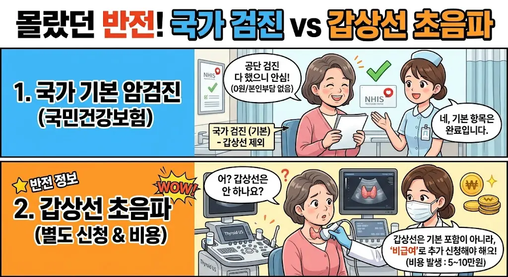 갑상선 초음파 비용