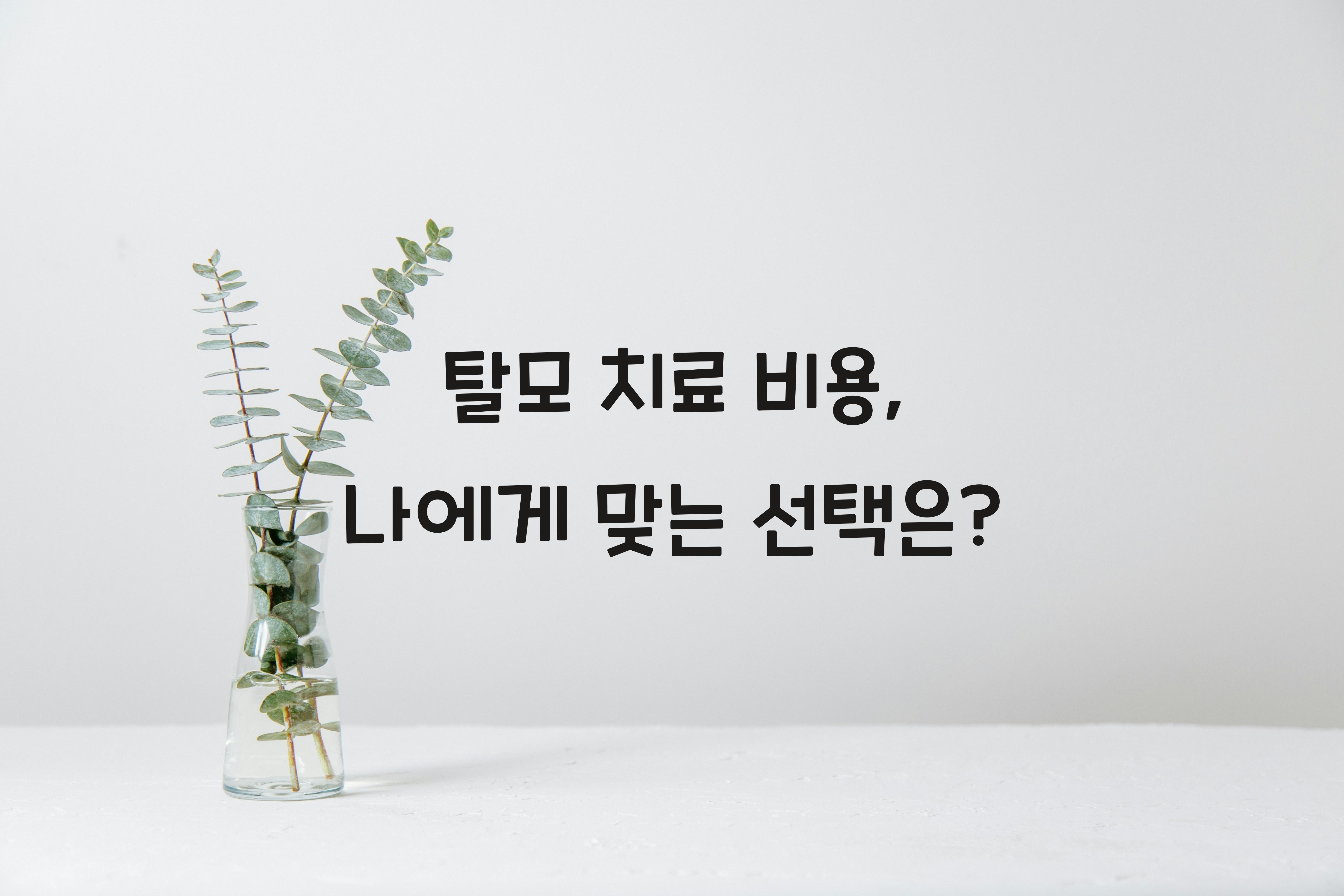 탈모 치료 비용