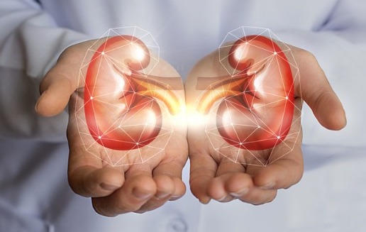 고혈압 신장질환 사구체여과율 콩팥건강 저염식 혈압관리 단백뇨 당뇨병 생활습관개선