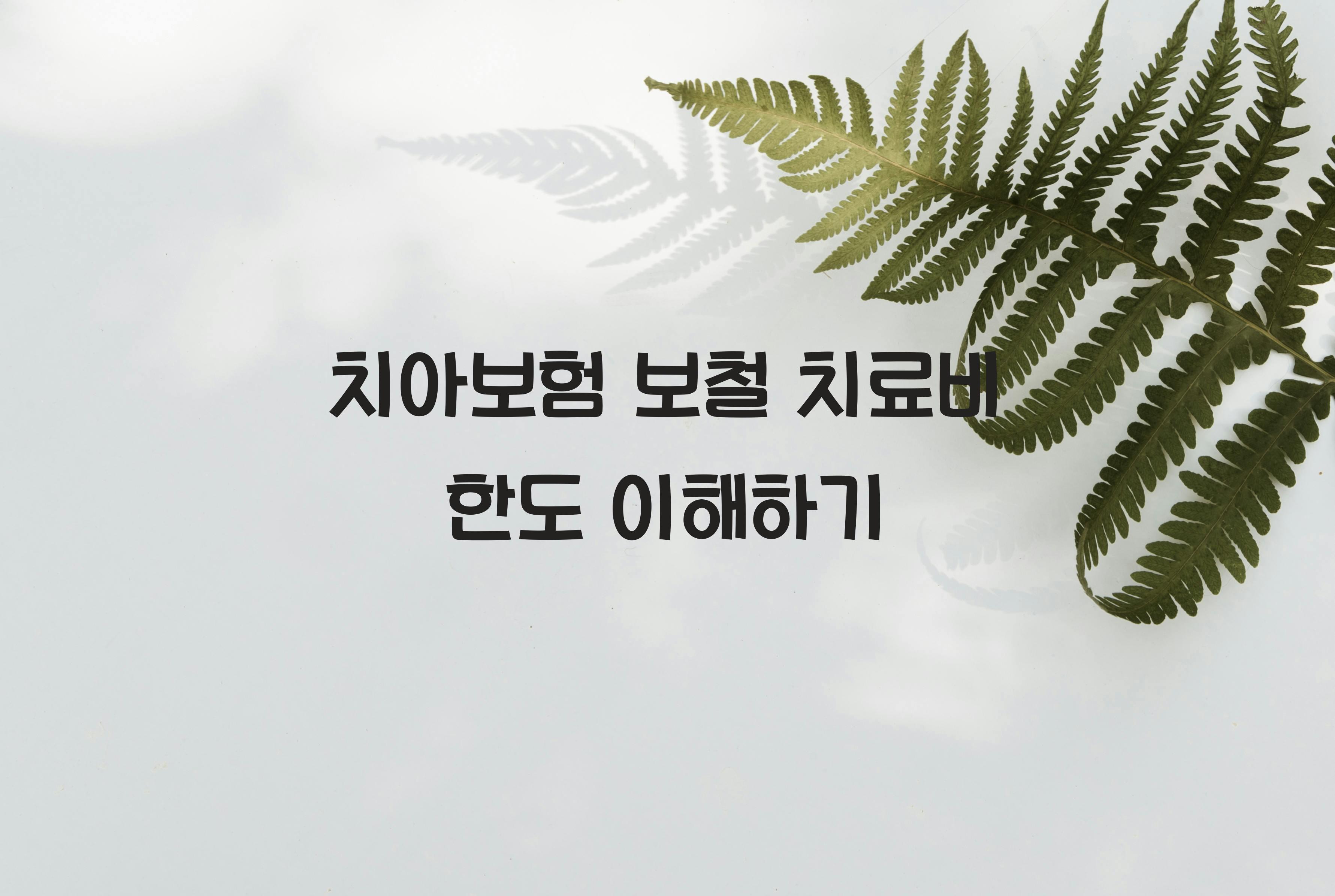 치아보험 보철 치료비 한도