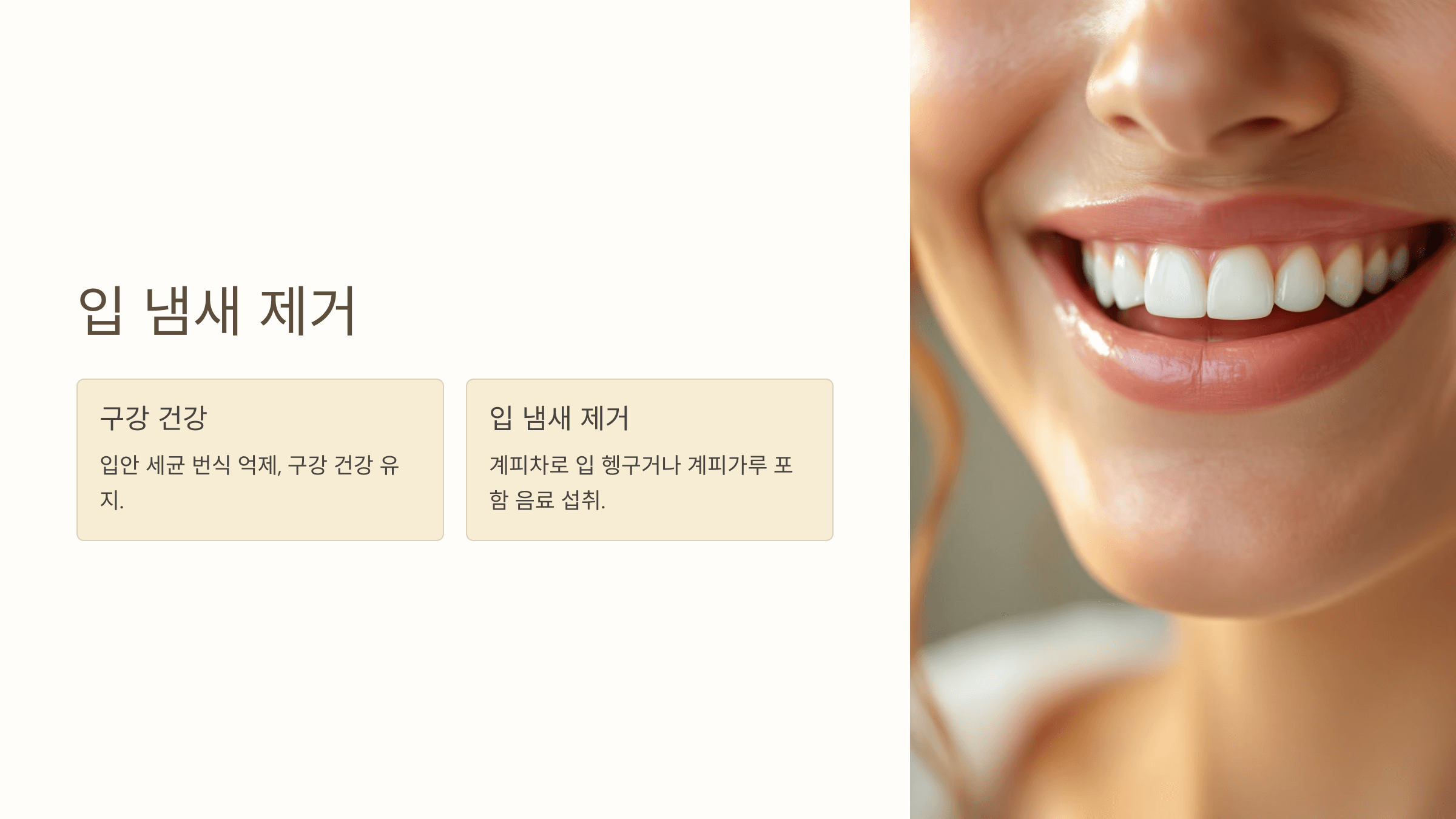 계피 사진입니다.