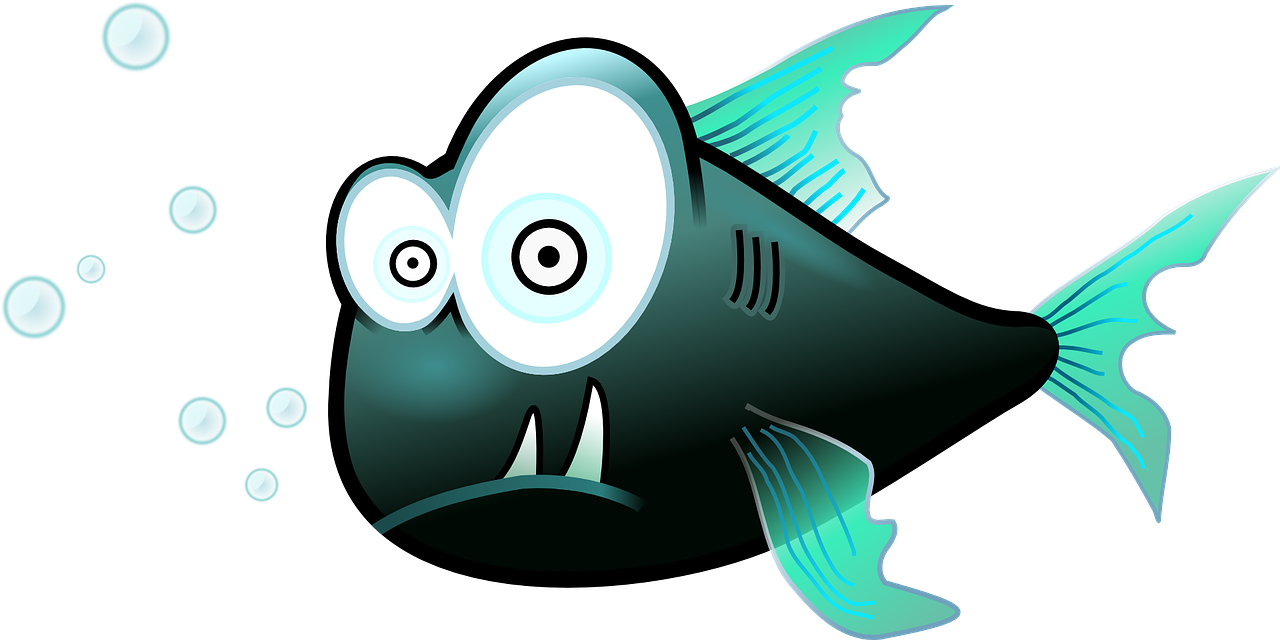 과메기 맛있게 먹는법 총정리