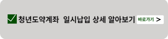 청년도약계좌 일시납입 안내