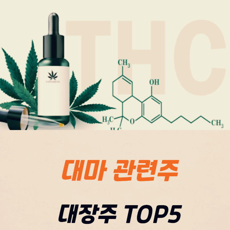 대마 관련주 대장주 테마주 수혜주 TOP5