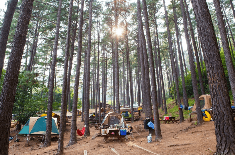 광양 백운산 자연휴양림