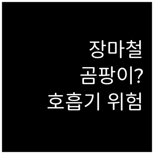 장마철 곰팡이 노출, 호흡기 건강에 ..