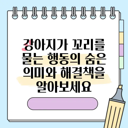 강아지가 꼬리를 물는 행동의 숨은 의미와 해결책을 알아보세요
