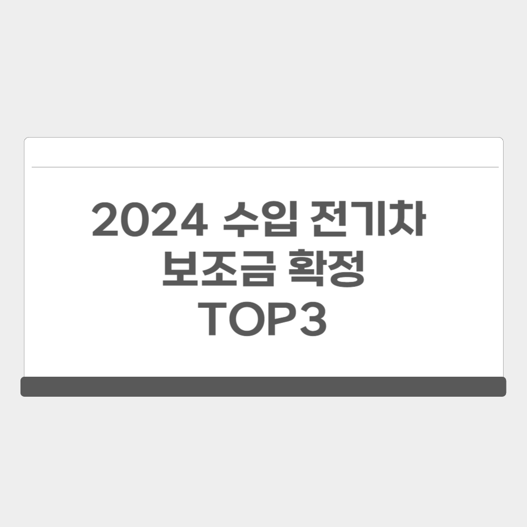 2024 수입 전기차 보조금 확정 TOP3