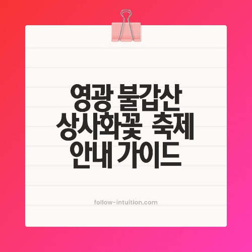 영광 불갑산 상사화꽃 축제 안내 가이드