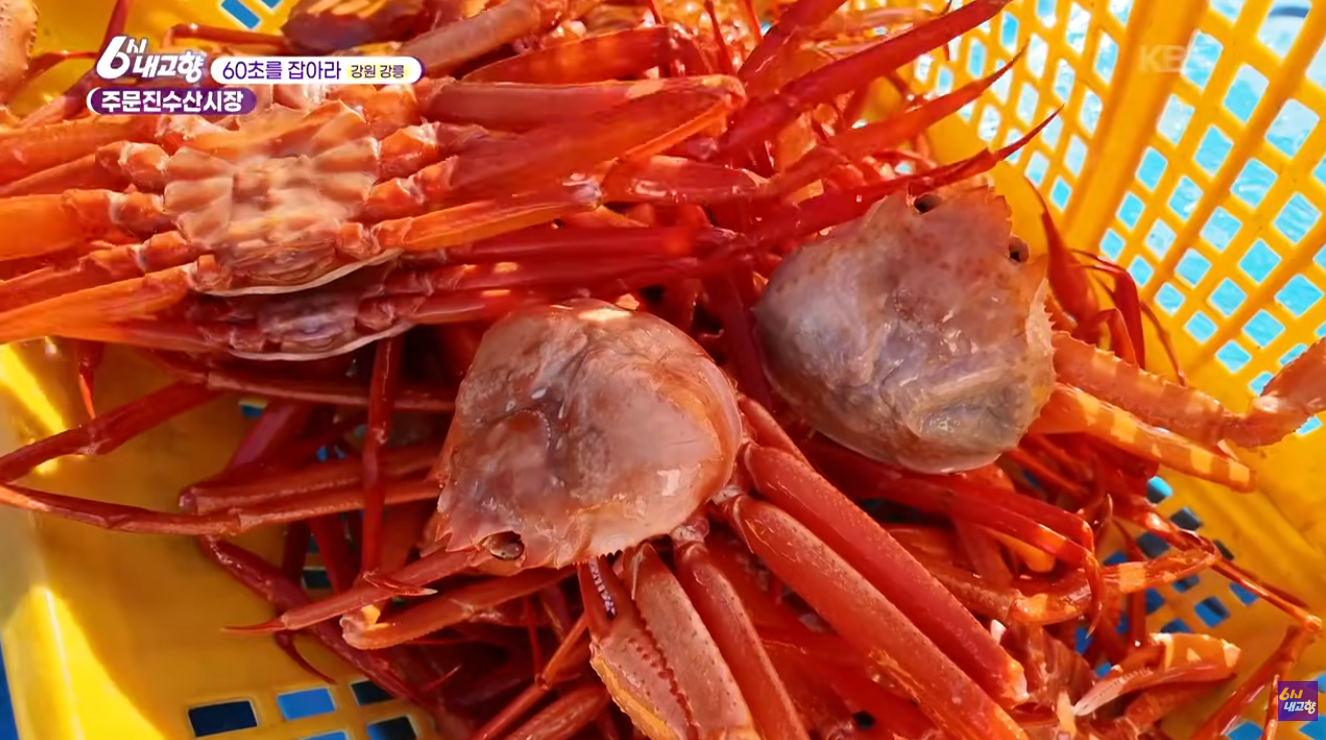 6시 내고향 독도홍게