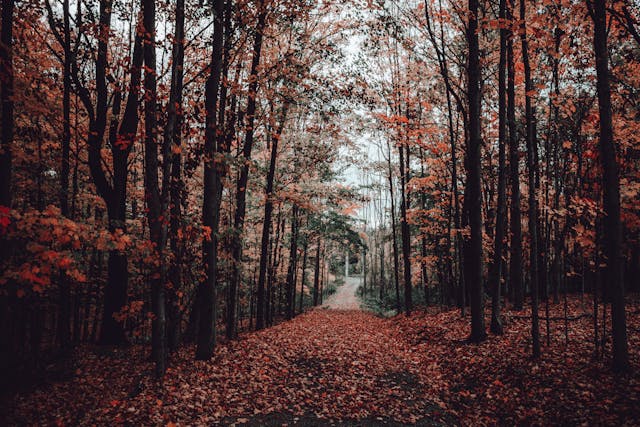 가을 단풍 명산 추천 10선